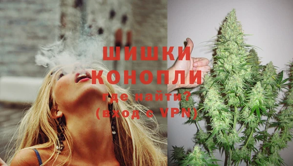 гашик Семёнов