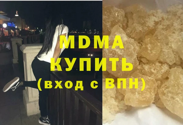 индика Бородино