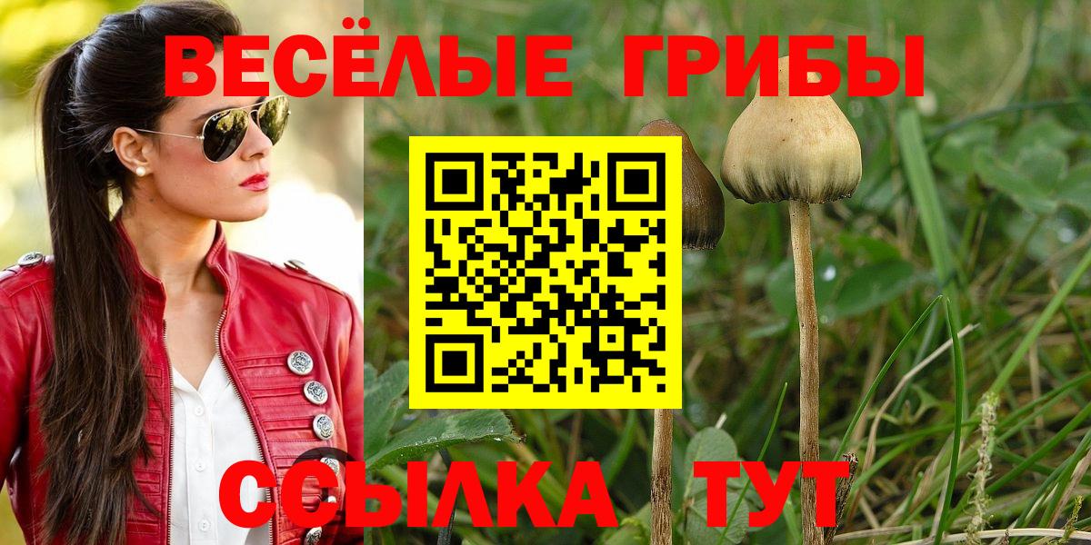 Псилоцибиновые грибы MAGIC MUSHROOMS  Вход с VPN  Омск 