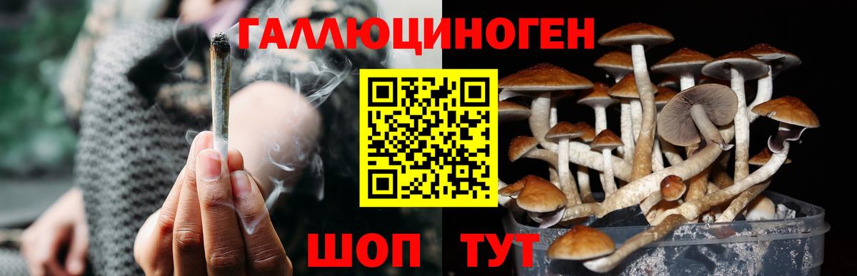 Галлюциногенные грибы Magic Shrooms Омск